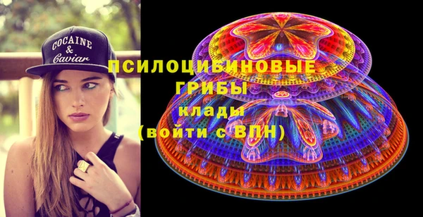мяу мяу мука Баксан
