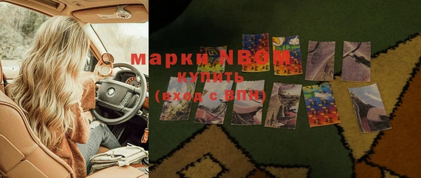мяу мяу мука Баксан